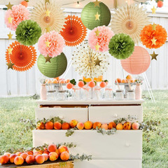 Olive Green and Orange Party Decorations Olive Birthday Party Decorations Peach