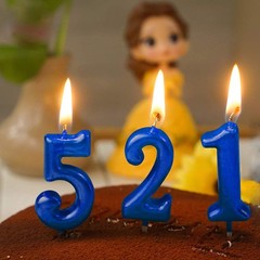 Blue Birthday Candles 5 Candle 5th Five Years Cake Bady Roman Number 5,