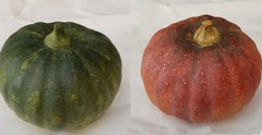 3D Pumpkin Decoration Gourds Window Display Natural Halloween Thanksgiving Event