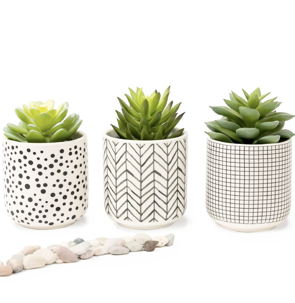 Kurrajong Farmhouse Artificial Succulents in 4.75″ high, Black White Green