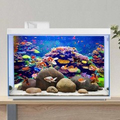 AWERT Undersea Theme Aquarium Background 36×18 inches Polyester Background Co…