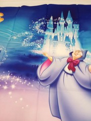 Cinderella Princess Birthday Party Supplies Party Backdrop Photo Background 5×3′