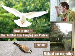 37Pcs Anti Collision Window Clings, Save The Birds from Strikes, White