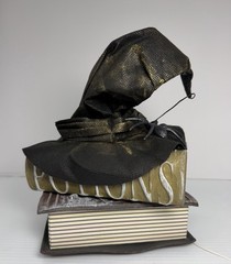 Animated Moving Talking Light-Up Witch Hat on Potion Books Halloween Decor NEW