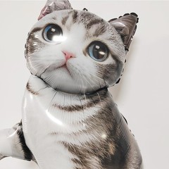 18PCS Gray Tabby Cat Balloon Set – Giant Kitten Foil Balloon, Pink Gray Paw P…