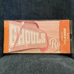 My Mind’s Eye Halloween Ghouls Rule Pink Felt Pennant NEW