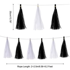 20Pcs Black,White Tassel Garland Banner with Rope