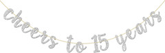 Glitter Silver Cheers to 15 Years Banner – Teenager 15Th Birthday Sign Bunting 1