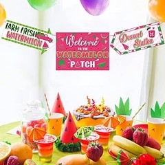 20 Pcs Watermelon Party Decorations Summer Watermelon Birthday Party Supplies