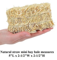 Mini 5″ x 2.5″ Natural Straw Hay Bale Centerpiece Fall Country Accent Decor #821