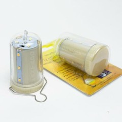 12-LED Remote Control Omni Lantern Light, Portable, Warm White (Battery)