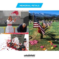 8 oz Mixed Dried Flowers Biodegradable Confetti Real Petals Wedding Craft