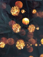 L3 NEW Celebrations Lights Backdrop Party Banner All Occasion Holidays New Years