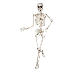 Wicked Costumes – Pose-able Skeleton (150cm) – Party Decoration