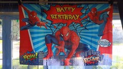 Spider-Man Birthday Banner Backdrop Letters Tablecloth 3 Set