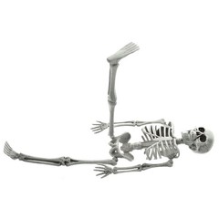New Poseable Full Party Prop Decoration Human Skeleton Halloween 40cm