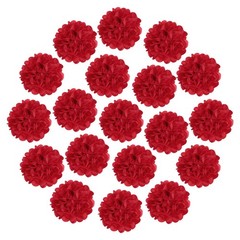 20 PCS Tissue Paper Pom Poms 4 Inch Large Paper Flowers Wall Decor Red