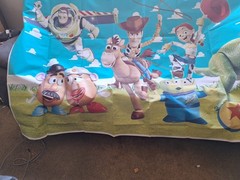 Toy Story Vinal Party Back Drop