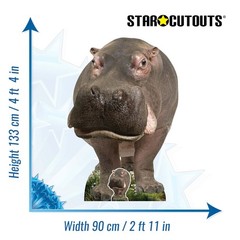 Hippopotamus Animal Cardboard Cutout 133cm Tall with Free Mini Standee Wildlife