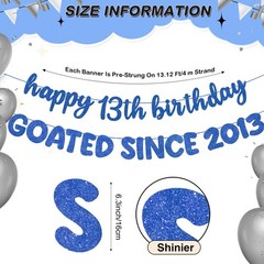 Fulmoon Dark Blue 13th Birthday Banner