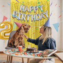 Gold Backdrop Birthday Decorations Foil Curtain Backdrop Gold Streamers Dance Pa