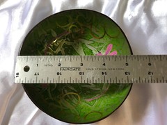 3 Coconut Shell Bowls Hand Painted Dragonflies Lotus Flower Gold Fish Luau Party