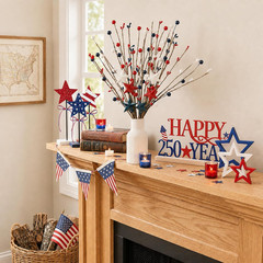 4Pcs 250Th Anniversary Decorations Set, Red White Blue Wood Stars, Metal America