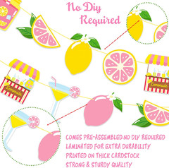 2Pcs Pink Lemonade Party Banners Lemon Citrus Garland, Summer Fruit Lemonade Sta