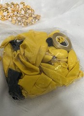 HE SHE WHAT WILL IT BEE? Gender Reveal Party Decorations 12 Item Set, Bumblebee