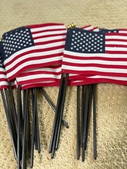 Patriotic Party Bundle – 2 Sequin Hats + 20+ American Flags