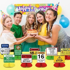 16th Birthday Driver License Party Decorations 12 Pcs Novelty License Set