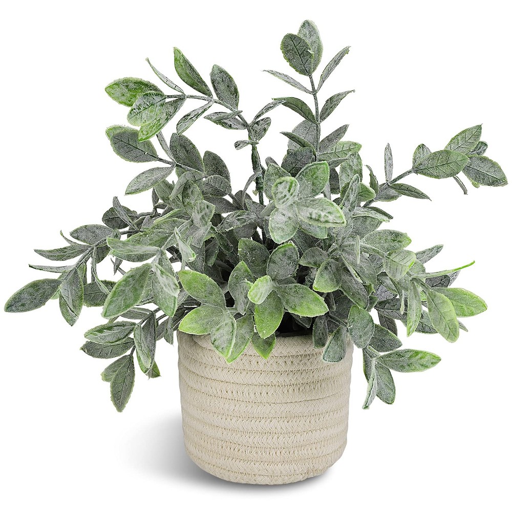 3.5 inches (D) x 9.8 (W) x 8.7 (H), Green Plant Style a
