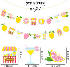2Pcs Pink Lemonade Party Banners Lemon Citrus Garland, Summer Fruit Lemonade Sta