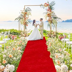 Red Carpet Runner for Party Wedding Aisle Decorations 4FTx15FT Aisle Runners NEW