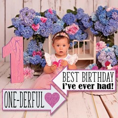 1st Birthday Girl Photo Booth Props – 41-pc Photobooth Kit with 8 x 10-Inch S…