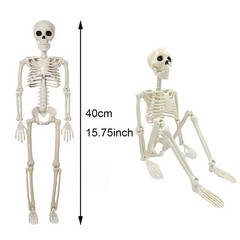 3Posable Skeleton Decoration Human Shape Halloween Party Decor