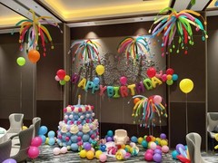 Clear 260 Balloons, 100Pcs Long Balloons for Building Balloon Arches, Skinny …