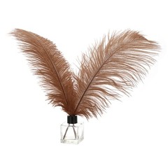 30 Pcs 14-16 Inch/ 35-40 cm Natural Ostrich Feathers Bulk(Brown)