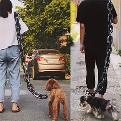 Funny Dog Rope Prank Foam Chain 70IN Photo Prop Pet Leash Toy Decor