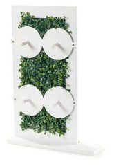 Champagne & Donut Wall Stand 2-in-1 Donut Wall + Wine Flute Holder Glass Display