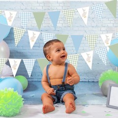 5 Pcs Silly Goose Party Decorations Blue Green Gingham Print Pennant Banners …