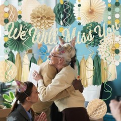 Sage Green Farewell Party Decorations, Gold We Will Miss You Banner Honeycomb…