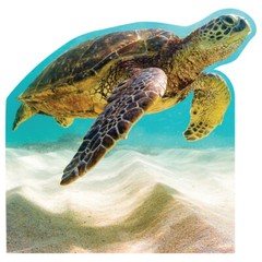 SEA TURTLE Lifesize CARDBOARD CUTOUT Standup Standee Poster Prop Marine Turtle