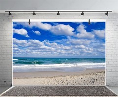 AOFOTO 10x7ft Beach Background Blue Sky White Clouds Photography Backdrop Oce…