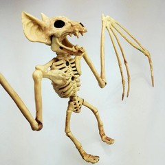 Animal Skeleton Decorations Rat Bat Realistic Bones Scary Halloween Party Props