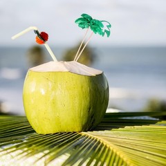 Coconut Palm Tree Cake Picks 50 Pcs Tropical Dessert and Fruit Toppers 3.94 I…