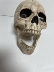 Skeleton Skull Bones Life Haunted House Escape Horror Props Plastic 6” Halloween