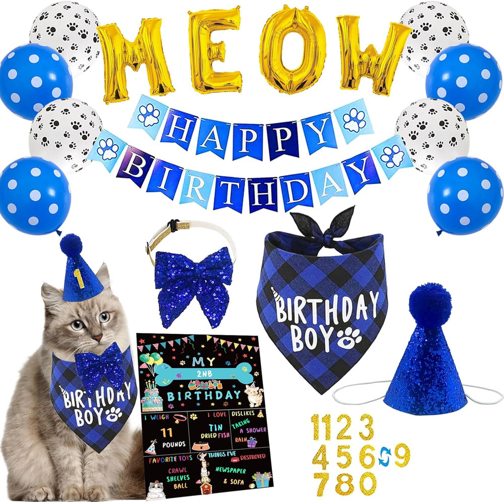 Cat Kitten Birthday Bandanas Cat Birthdays Party Supplies Party Hat Boy with Cat