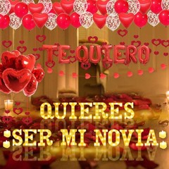 Quieres Ser Mi Novia Light Up Letters Proposal Decorations, 17Pcs 6.3″ Letter…