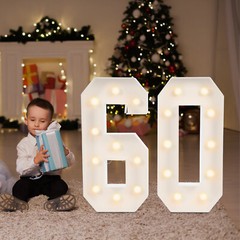 60 Light Up Numbers, 60th Birthday Party Decoration Light Up Numbers NEW